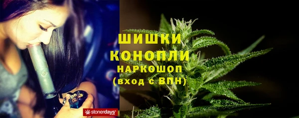 стаф Арсеньев