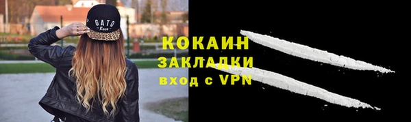стаф Арсеньев