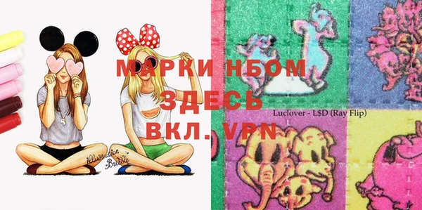 стаф Арсеньев