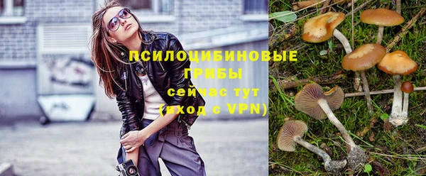 дмт Армянск