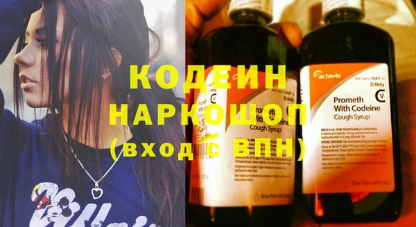 стаф Арсеньев